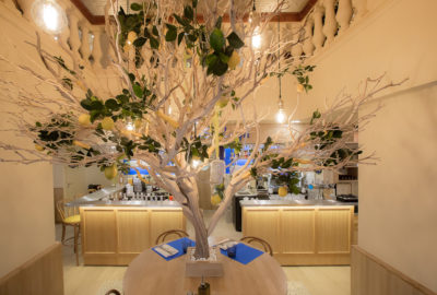 Image représentant la salle du rez-de-chaussée décorée comme le reste du restaurant en jaune et bleu, avec des produits italiens. Il y a également le citronnier de l'entrée du restaurant. Il donne une ambiance chaleureuse et typique italienne.